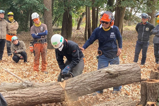 「日本財団ボラセン」―<br>重機ボランティアで被災地支援 P2 1 巨木の伐採作業(日本財団VTCより) - 「日本財団ボラセン」―<br>重機ボランティアで被災地支援